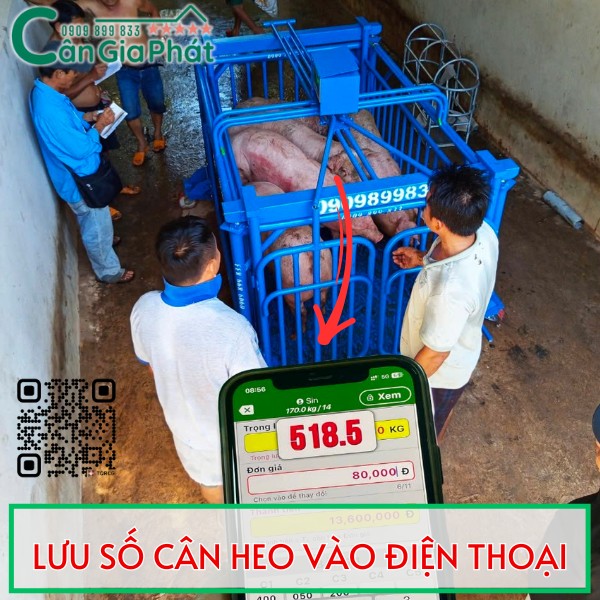 HƯỚNG DẪN LƯU SỐ CÂN HEO VÀO ĐIỆN THOẠI