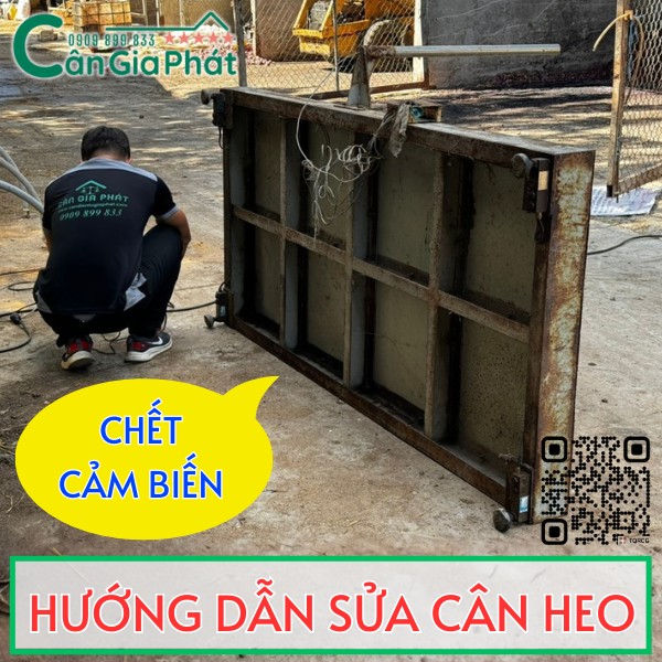 HƯỚNG DẪN SỬA CÂN ĐIỆN TỬ CÂN HEO NHỮNG LỖI PHỔ BIẾN