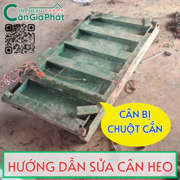 HƯỚNG DẪN SỬA CÂN ĐIỆN TỬ CÂN HEO NHỮNG LỖI PHỔ BIẾN