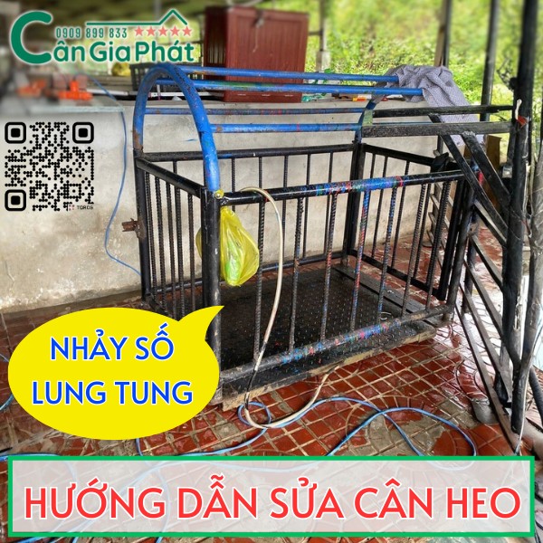 Sửa cân điện tử cân heo nhảy số lung tung, cân không chính xác - Cân Gia Phát