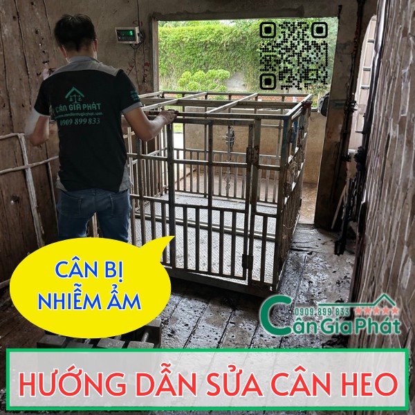 HƯỚNG DẪN SỬA CÂN ĐIỆN TỬ CÂN HEO NHỮNG LỖI PHỔ BIẾN