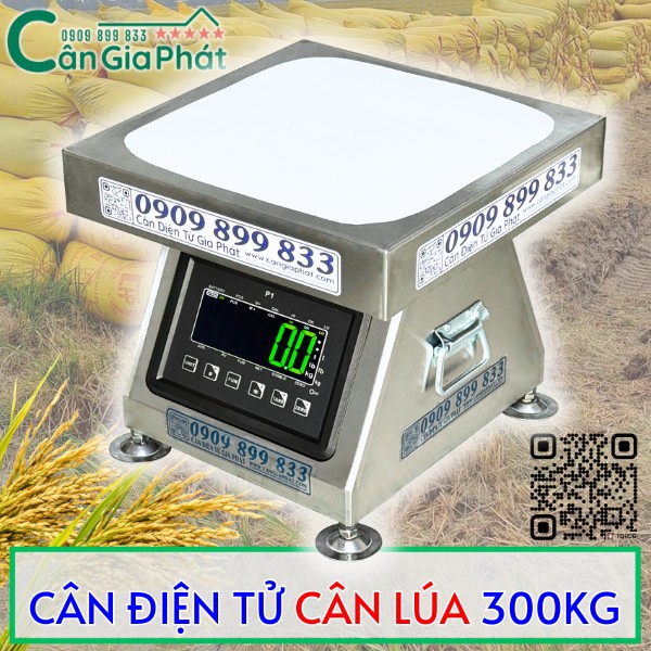 CÂN ĐIỆN TỬ CÂN LÚA 300KG