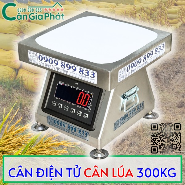 CÂN ĐIỆN TỬ CÂN LÚA 300KG