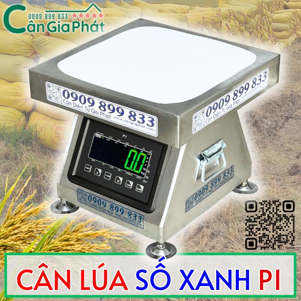 CÂN LÚA GIA PHÁT SỐ XANH