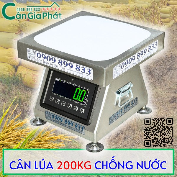 CÂN LÚA 200KG CHỐNG NƯỚC