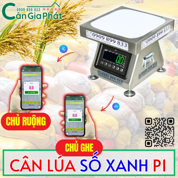 CÂN LÚA GIA PHÁT SỐ XANH