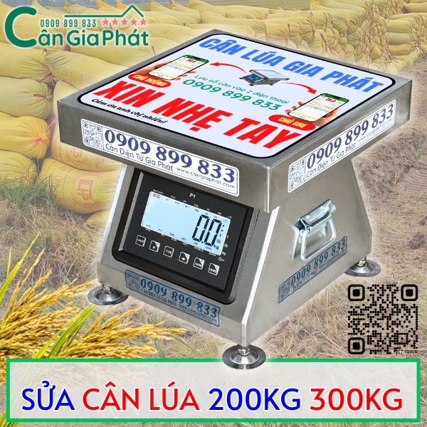 SỬA CÂN ĐIỆN TỬ CÂN LÚA