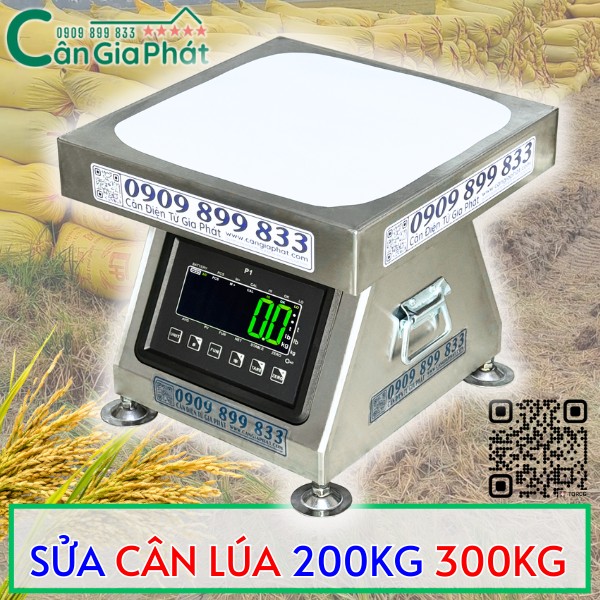 SỬA CÂN ĐIỆN TỬ CÂN LÚA