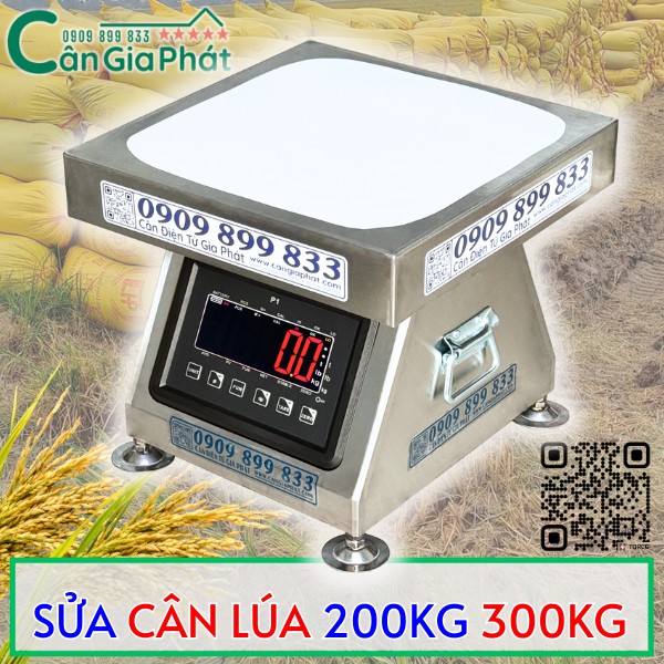 SỬA CÂN ĐIỆN TỬ CÂN LÚA