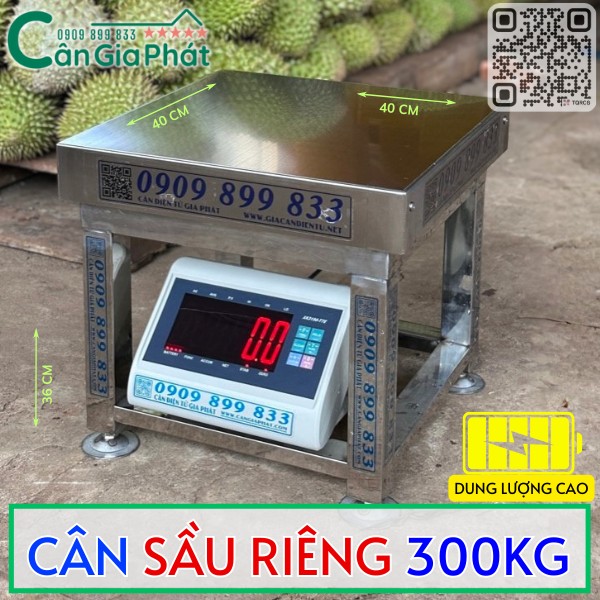 CÂN SẦU RIÊNG 300KG