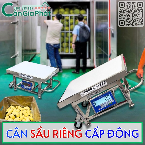 CÂN SẦU RIÊNG CẤP ĐÔNG