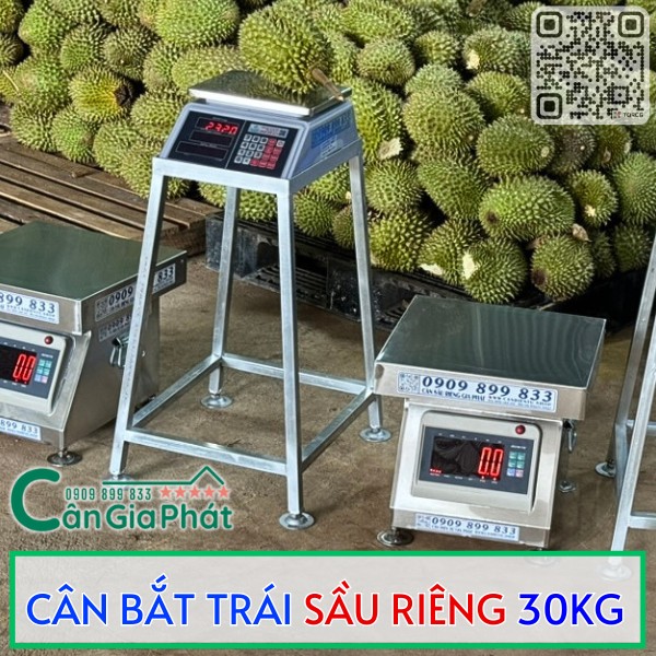 CÂN BẮT TRÁI SẦU RIÊNG 30KG