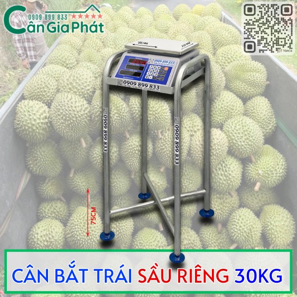CÂN BẮT TRÁI SẦU RIÊNG 30KG
