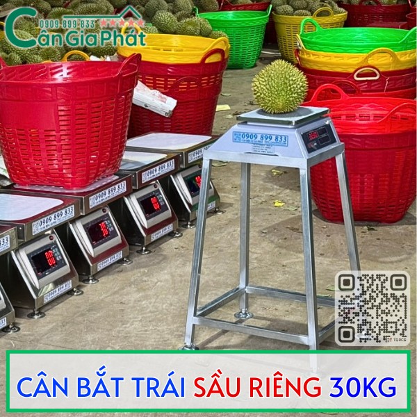 CÂN BẮT TRÁI SẦU RIÊNG 30KG
