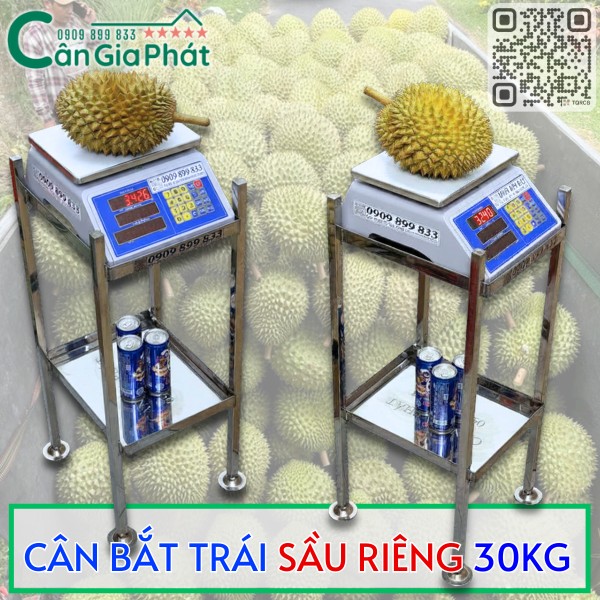 CÂN BẮT TRÁI SẦU RIÊNG 30KG