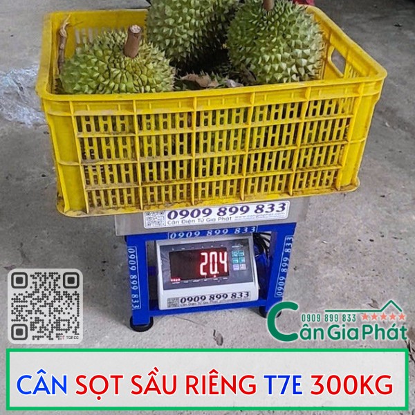 Cân điện tử Cân Gia Phát T7E 300kg đang cân sọt sầu riêng trong giỏ nhựa vàng
