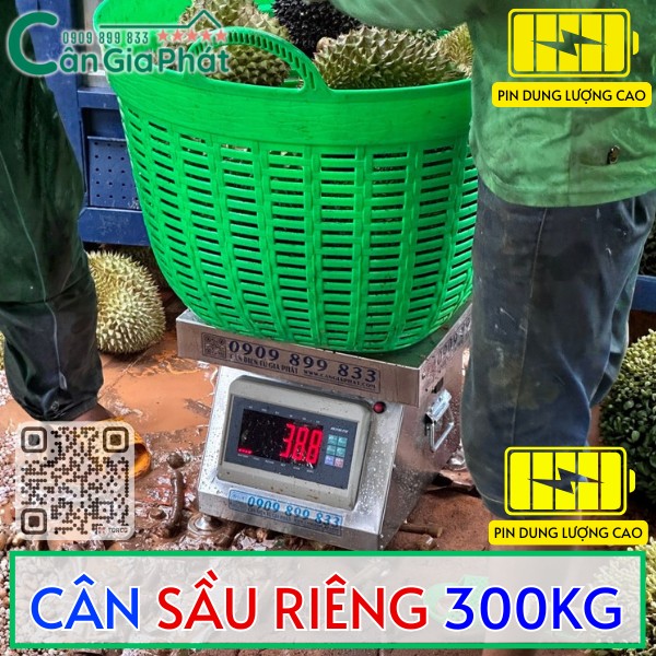 CÂN SẦU RIÊNG 300KG