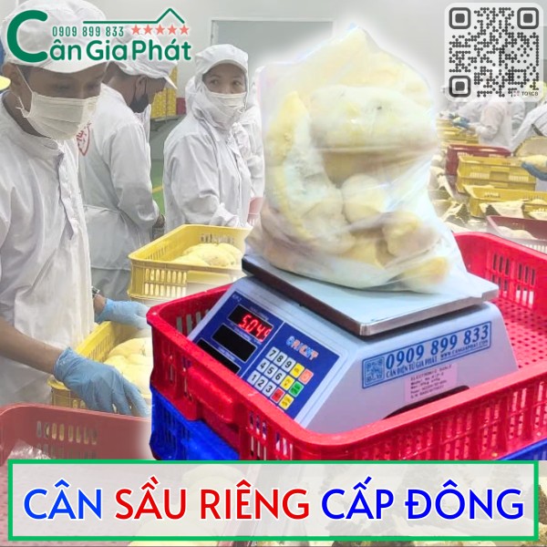 CÂN SẦU RIÊNG CẤP ĐÔNG