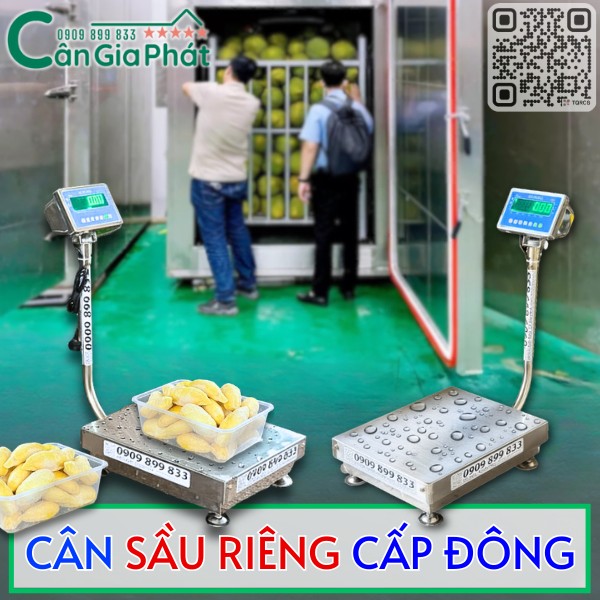 CÂN SẦU RIÊNG CẤP ĐÔNG