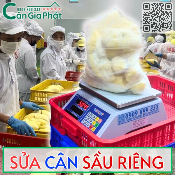 SỬA CÂN SẦU RIÊNG TẬN NƠI