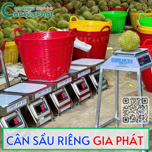 Cân điện tử Gia Phát dùng cân sầu riêng với rổ nhựa lớn nhiều màu trong kho trái cây