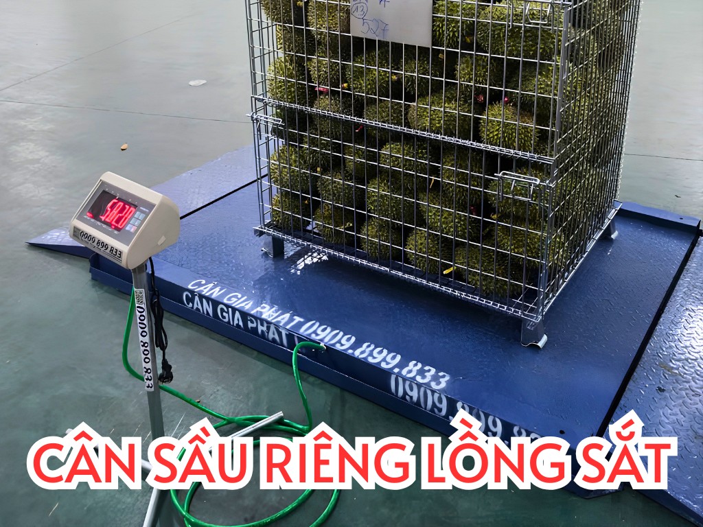Cân điện tử cân sầu riêng lồng sắt 500kg 1 tấn 2 tấn - candientu.net - CÂN ĐIỆN TỬ GIA PHÁT