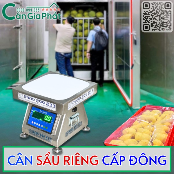 CÂN SẦU RIÊNG CẤP ĐÔNG