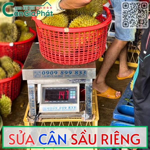 SỬA CÂN SẦU RIÊNG TẬN NƠI