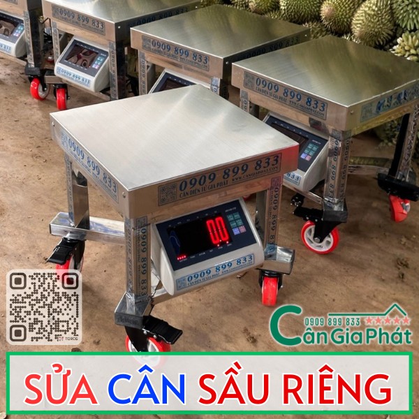 SỬA CÂN SẦU RIÊNG TẬN NƠI