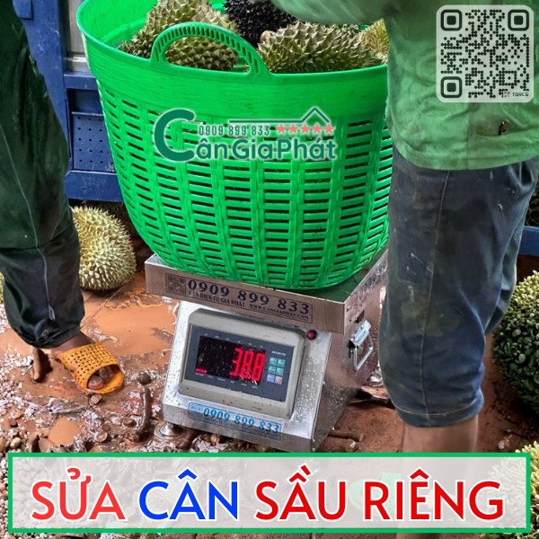 SỬA CÂN SẦU RIÊNG TẬN NƠI