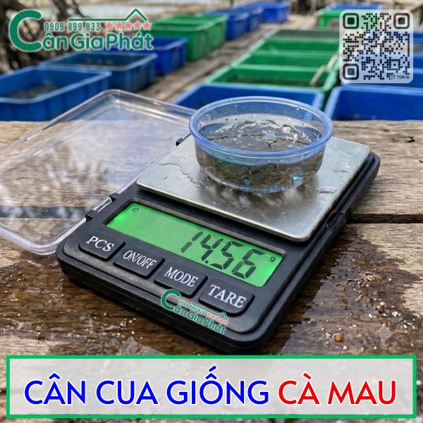 Cân điện tử cua giống Cà Mau - cân Notebook 1108-2 300g 500g - CÂN ĐIỆN TỬ GIA PHÁT - https://candientu.net/