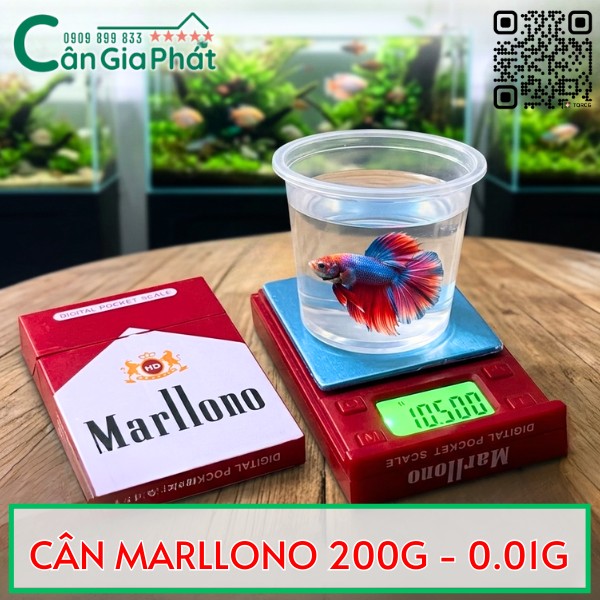 Cân điện tử 200g Marllono hình gói thuốc cân cá lia thia